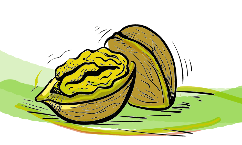 Platon ve Aristoteles'in Bilgi Anlayışı