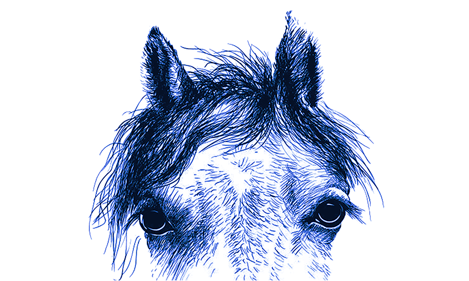 Torino Atı’nda Bir Felaketin Tasviri